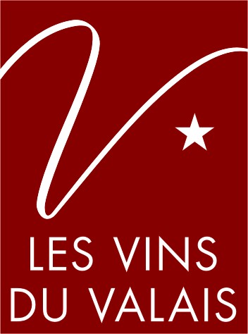 Logo IVV