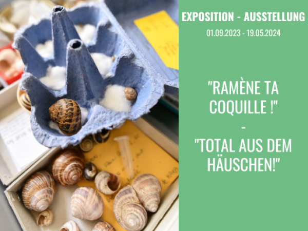 Exposition &quot;Ramène ta coquille&quot;